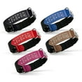 thumbnail image 3 of Dogline Leather + Nylon Spike Collar, 3 of 14