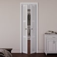 thumbnail image 2 of 24" X 80" 3-Lite Paneled Manufactured Wood and Glass Pivot-French Door With Installation Hardware Kit, 2 of 7
