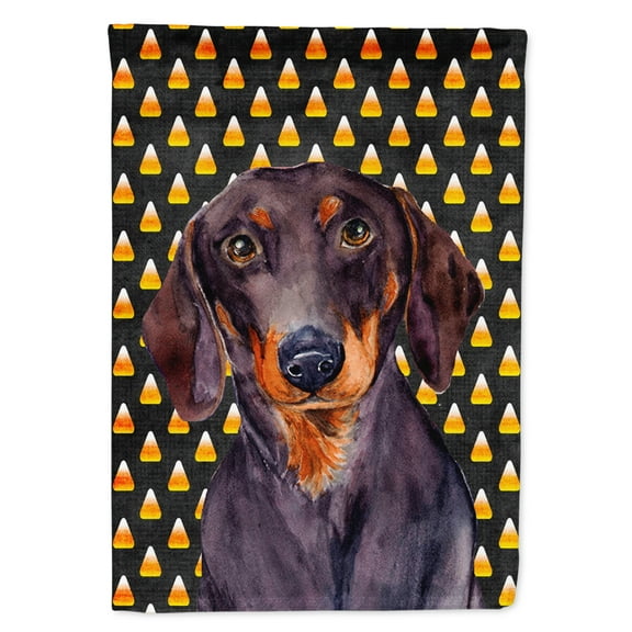 Carolines Treasures LH9054-FLAG-PARENT Dachshund Candy Corn Halloween Portrait Flag  multicolor