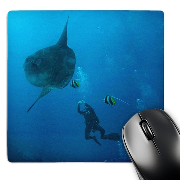 3dRose, Ocean Sunfish, Nusa Penida, Bali, Indonesia-AS11 SWS0328 - Stuart Westmorland, MousePad