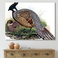 thumbnail image 2 of Designart ' Close Up Of Vintage Countryside Birds ' Farmhouse Canvas Wall Art Print, 2 of 4