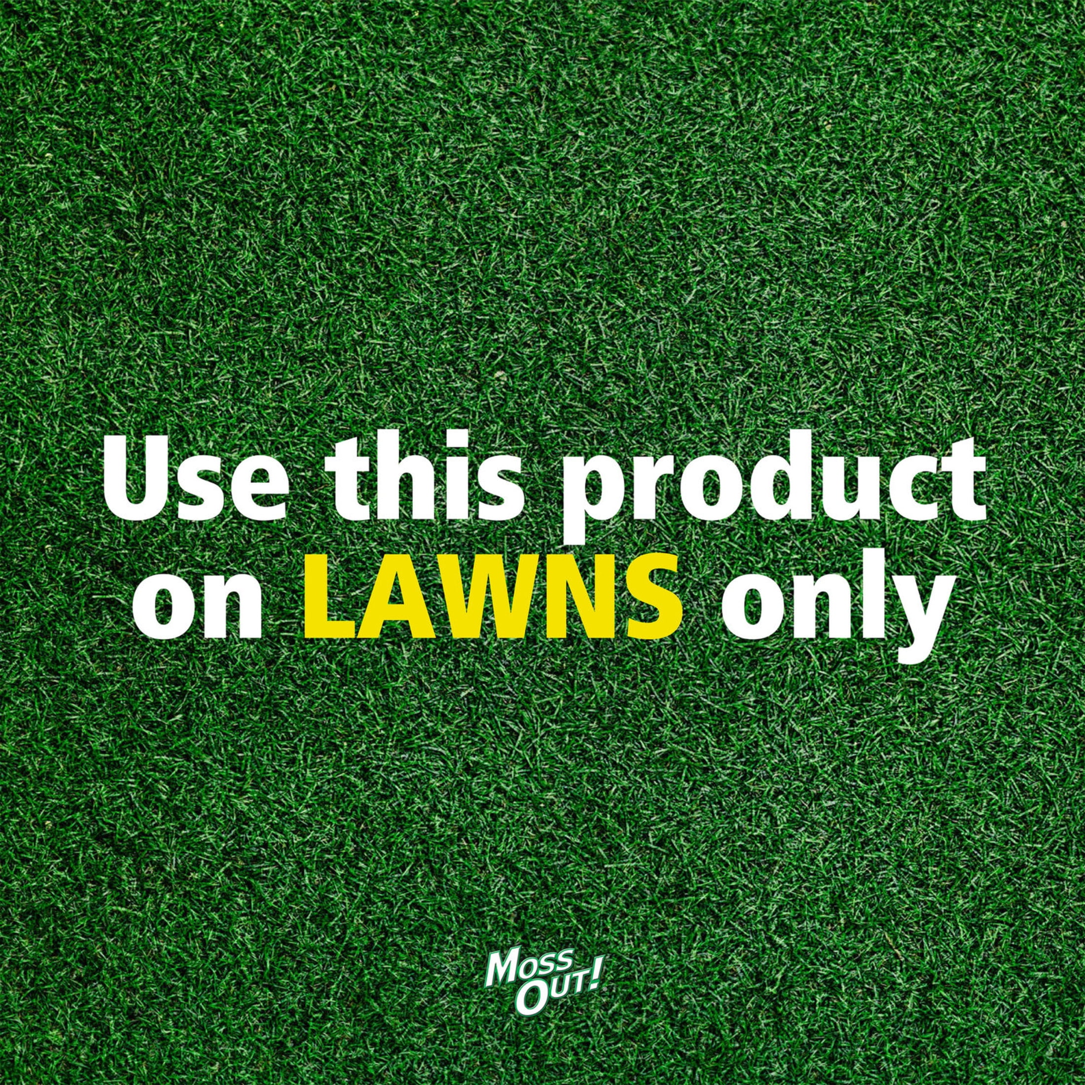 (2 pack) Lilly Miller Moss Out! Lawn Moss Killer Concentrate Herbicide, 1 Gallon