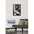 thumbnail image 2 of DC Comics Movie - The Dark Knight Rises - Catwoman - Social Climber Wall Poster, 14.725" x 22.375", Framed, 2 of 3