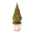 thumbnail image 2 of Fmbmuo Christmas Decor Creative Mini Tree Heart Shaped Desktop Ornament Festive Potted Decor for Desk and Shelf Ornaments,Green, 2 of 5
