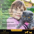 thumbnail image 3 of Lexelium Heart Supplement for Dogs and Cats - Provides Cardiovascular & Circulatory Support & Keeps Hearts Healthy with Taurine - Optimizes Heart Function & Circulation - Easy to Mix Powder - 200g, 3 of 5