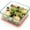 8×8inches, variant on 1.1QT Square Glass Baking Dish with Lid, 6×6 inches Deep Small Baking Dish with Lid, Square Glass Baking Dishes for Oven