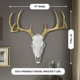 thumbnail image 5 of Wall Charmers Large White + Gold Antler Faux Deer Skull Decor - 21 inch Faux Taxidermy Animal Head Wall Decor - Handmade Farmhouse Decor, 5 of 5