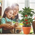 thumbnail image 5 of Jaula De Soporte De Plantas Para Verduras Y Frutas Con Estacas De Plástico, Estacas De Jardín Para Soporte De Plantas Y Fijas, Diseño De Medio Soporte, Desmontable, Natural, 5 of 5