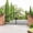 European-Design, variant on Chery Industrial 14 x 8 FT Dual Swing Steel Driveway Gate, Galvanized Frame, Ox Design for Home, Farm and Garden