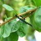 thumbnail image 5 of Soporte ajustable para plantas YONGSHENG 50 piezas 170 mm x 8 mm verde oscuro, 5 of 5