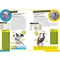 thumbnail image 4 of Guide de Champ Ultime : Oiseaux, 4 of 7