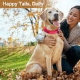 thumbnail image 6 of Unique Bargains Dog Collar for Large Dogs Adjustable Heavy Duty Collar with Handle Tactical Dog Collar Heavy Duty Dog Collar Pink M, 6 of 7
