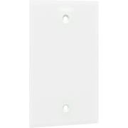 Hyper Tough Oversized Single Blank Outlet Plate, White, Nylon, 5in,  53136-T1