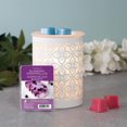 thumbnail image 4 of ScentSationals, Cubes de cire parfumés - Guimauve aux bleuets, 4 of 5