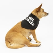 Vibrant Life Tail Chaser Bone Print Bandana Set, for Dogs or Cats, x-Small