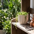 thumbnail image 4 of Ceramic Planter with Drainage Hole, Elegant Small Plant Pots for Ferns Cactus Home Desktop Windowsill Decor, 4 of 6