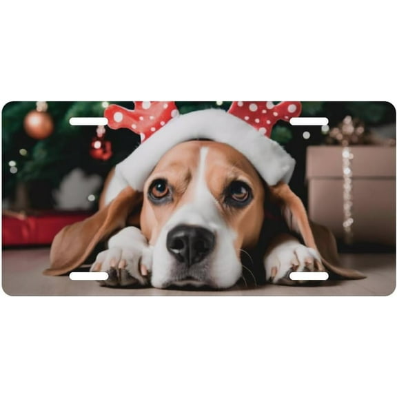 Blue Angel Wings Decorative License Plate, Vanity Tag, Metal License Plate, Aluminum Novelty License Plate Home Decor for Men/Women/Boy/Girls 6 X 12 Inch (4 Holes)