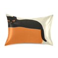 thumbnail image 7 of Yayeee Pillowcase Standard Size Set of 2 Satin Wrinkle Resistant Pillow Case, Black Cat Orange Ball, 7 of 7