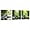 Zen Art Canvas - 2, variant on ZHONGYUTONG 3 Piece Zen Canvas Wall Art Zen Stone Picture Still life Green Bamboo Painting Meditation Artwork for Bedroom Decor Framed (10.00" x 10.00" x 3PCS)