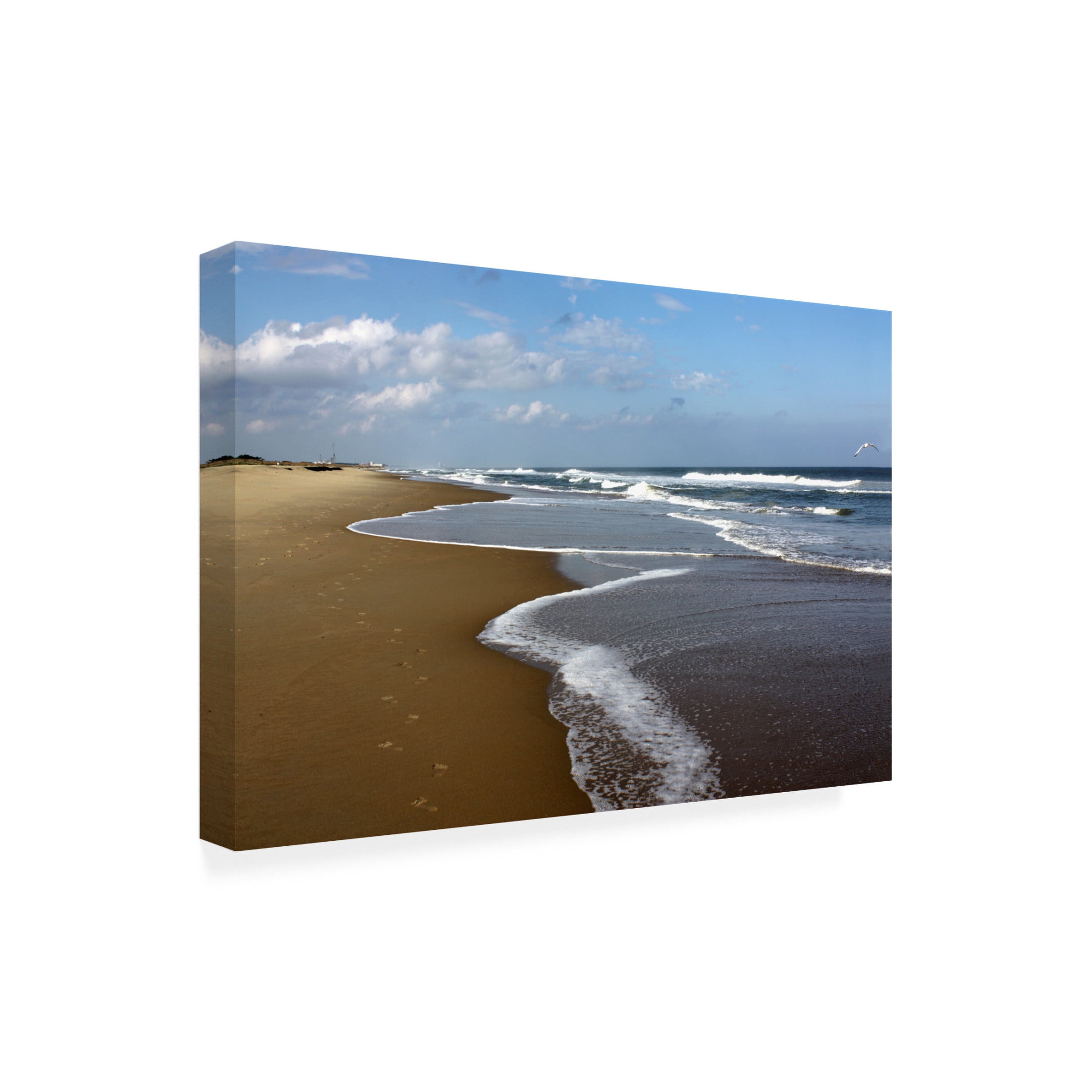Canvas Wall Art - DANE 'Beaches 9' Wall Art for Living Room, Bedroom, or Office Décor by Trademark Fine Art - 19 x 12 Inches