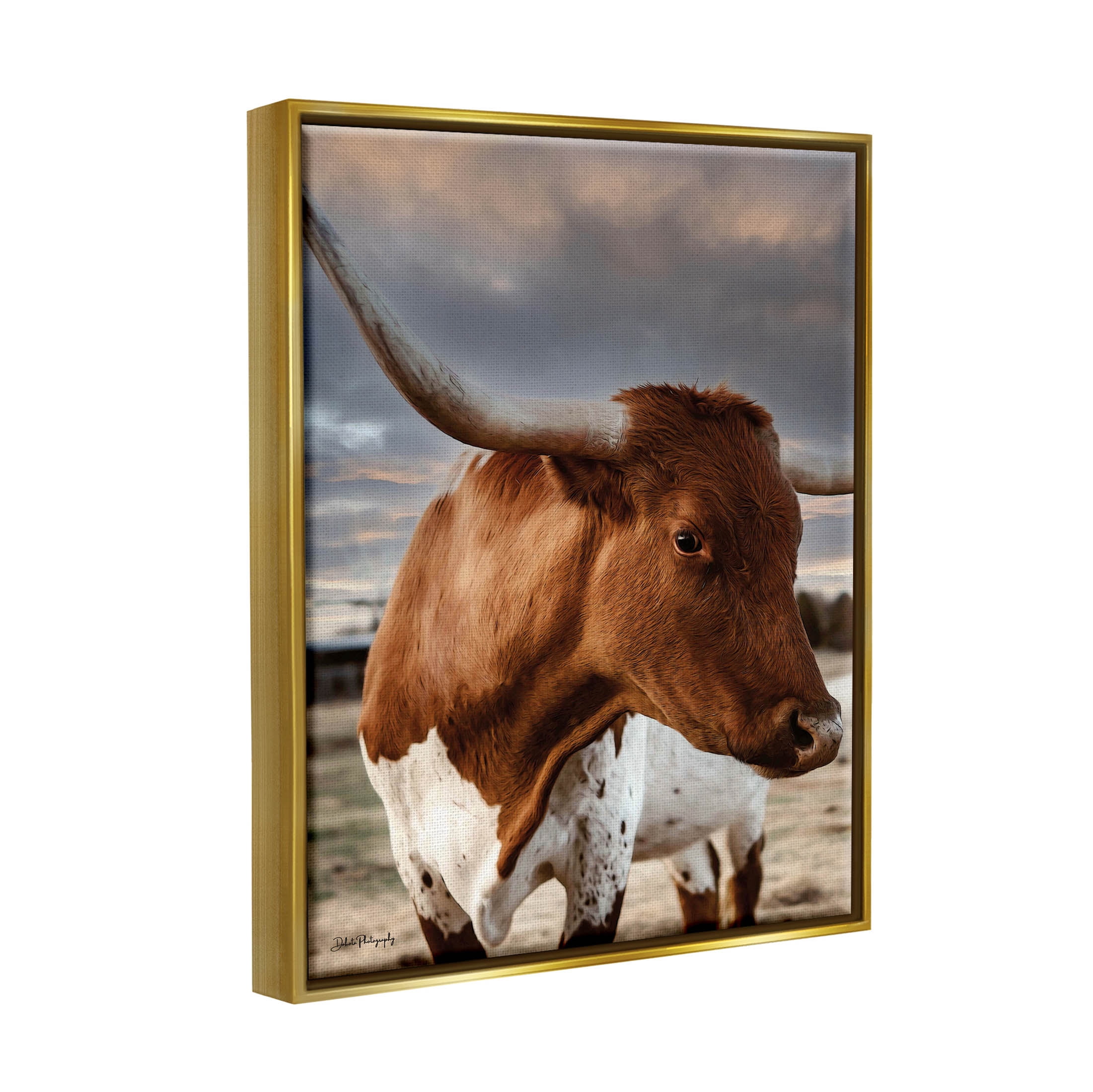 Stupell Industries Rural Farm Cattle Cloudy Ranch Sky Photograph Metallic Gold Floating Framed Canvas Print Wall Art, Design by Dakota Diener