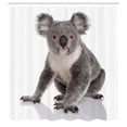 thumbnail image 2 of Ambesonne Koala Shower Curtain, Animal of Forest Tree Climber, 69"Wx75"L, White Dimgray Dust, 2 of 4