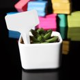 thumbnail image 4 of Naierhg 50Pcs Plastic Plant T Shape Tags Markers Nursery Garden Flower Label Decoration,Orange, 4 of 8