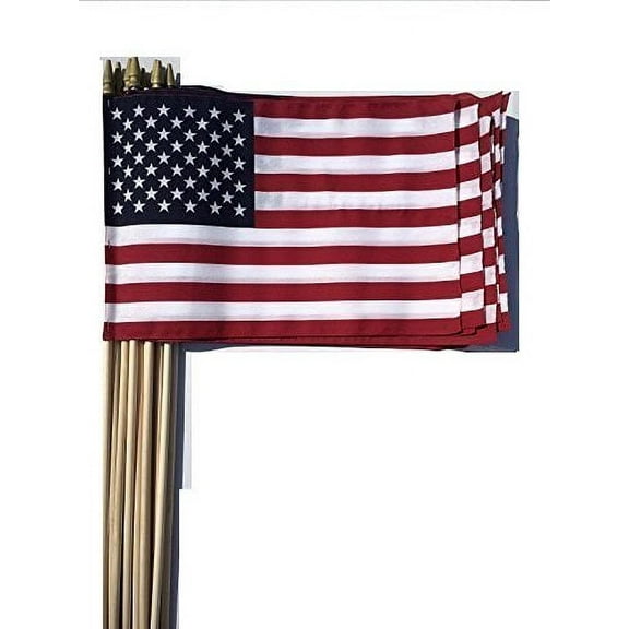 WINDSTRONG Lot of -12-12x18 Inch US  Hand Held Stick Flags Sewn Edges with Spear Tip (Double Sided) Made in the USA