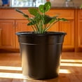 thumbnail image 3 of AEED 0.5 Gallon Nursery Pots, Black Plastic Plant Pots with Drainage Holes, Reusable Seed Starter Pots for Planting, 30 Pack （6.70" x 5.10" x 6.90"）, 3 of 7