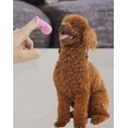 thumbnail image 5 of Cepillo de dientes para perros de 3 piezas, cepillo de dientes para perros de silicona, cepillo de dientes para gatos, cuidado dental para gatos, cachorros y aliento fresco, 5 of 5