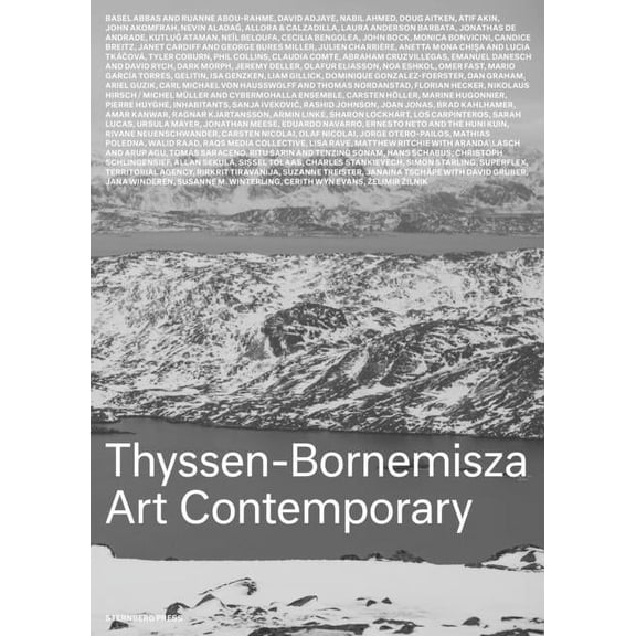 Thyssen-Bornemisza Art Contemporary : The Commissions Book (Hardcover)