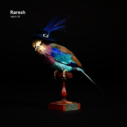 Raresh - Fabric 78 - Electronica - CD