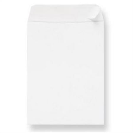 - Sparco Removable Strip Catalog Envelopes 00907