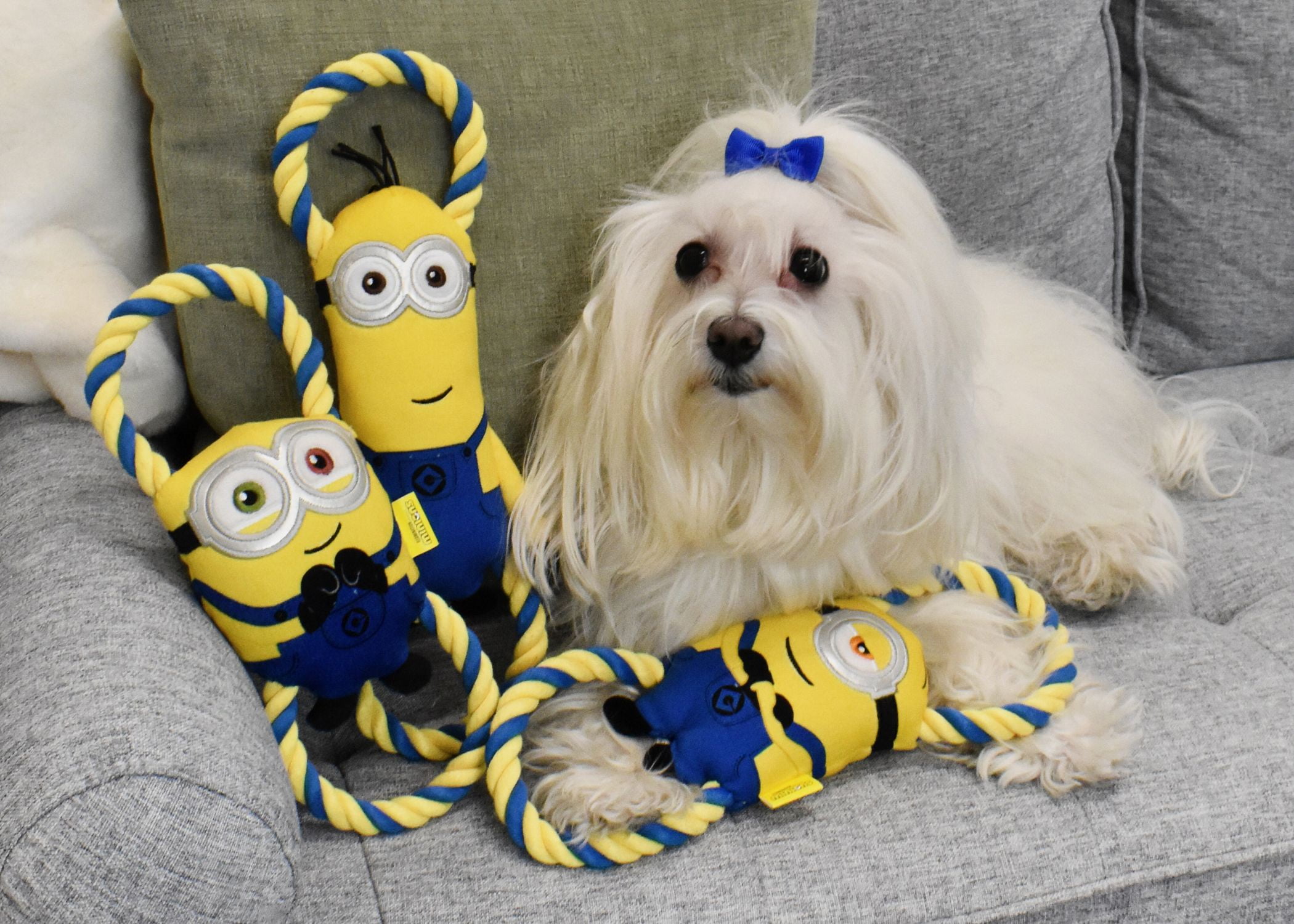 Multipet Minions Bob Plush and Rope Tug Dog Toy with Squeaker and Crinkle, Large