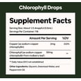 thumbnail image 4 of Black Girl Vitamins Liquid Chlorophyll Drops – Mulberry Leaf + Chlorophyllin with Peppermint, Vegan Liquid Concentrate, Supports Digestive Comfort & Healthy-Looking Skin (4-Month Supply), 4 of 6