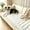 White, variant on ORGOWEL Couch Cover Sofa Cover Non Slip Fuzzy Couch Covers for Dogs Washable Thick Soft Sofa Slipcovers Cushion Pet Friendly Furniture Protector(Brown,27.5"x70.8")
