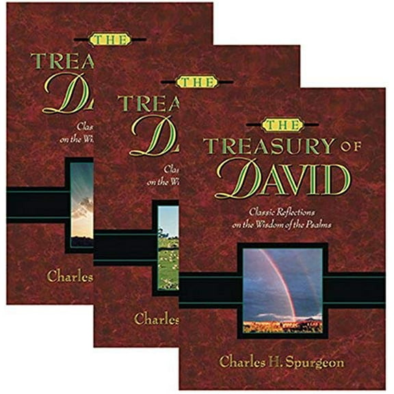 Pre-Owned The Treasury of David (3 Volume Set), 9781565639454, 1565639456, Hardcover, Volumes ed. edition