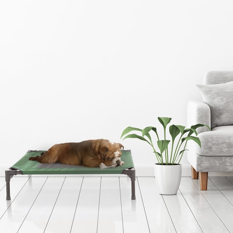 PETMAKER Raised Cot-Style Pet Bed, Green, 30" x 24" photo 7