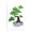 Bonsai Blossom Tree, variant on Stupell Industries Contemporary Bonsai Tree Sun Shape Black Floating Frame Canvas Art, 25 x 31, by Sebastian Grafmann