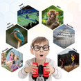 thumbnail image 2 of Binoculares para niños Juego de binoculares de juguete a prueba de golpes - Observación de aves - Aprendizaje educativo - Regalos para niños Sincero  Hogar, 2 of 7