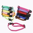 thumbnail image 5 of We donate one collar for every collar sold to Dog Rescue, 5 of 5