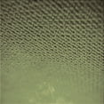 thumbnail image 1 of Ahgly Tapis d'Intérieur Lavable en Machine Carré Transitionnel Laiton Vert, 6 Pieds Carré, 1 of 7