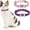 Pink & Purple, variant on Miaocao 2 Pack Diamond Cat Collar with Bells and Safety Belt, Adjustable Soft Velvet Kitten Collar with Bling Heart Jewelry, Cute Purple & Pink Cat Collars for Girls & Boys(Neck Girth 8"-10")
