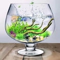 thumbnail image 4 of Transparent Aquarium Tank Multi-function Betta Tank Desktop Goldfish Tank Office Decor, 4 of 8