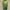 #C01-Light Green, variant on Xyxonk Shamrock Shirt Women Dressy Mock Neck Shamrock Shirt Oversized St Patricks Day Print Curved Hem Long Sleeve Graphic Funny T-Shirts Holiday Top Cute Clothing Army Green S
