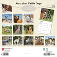 thumbnail image 2 of Australian Cattle Dogs | 2026 12x24" (Hanging) Square Wall Calendar | Plastic-Free, 2 of 9