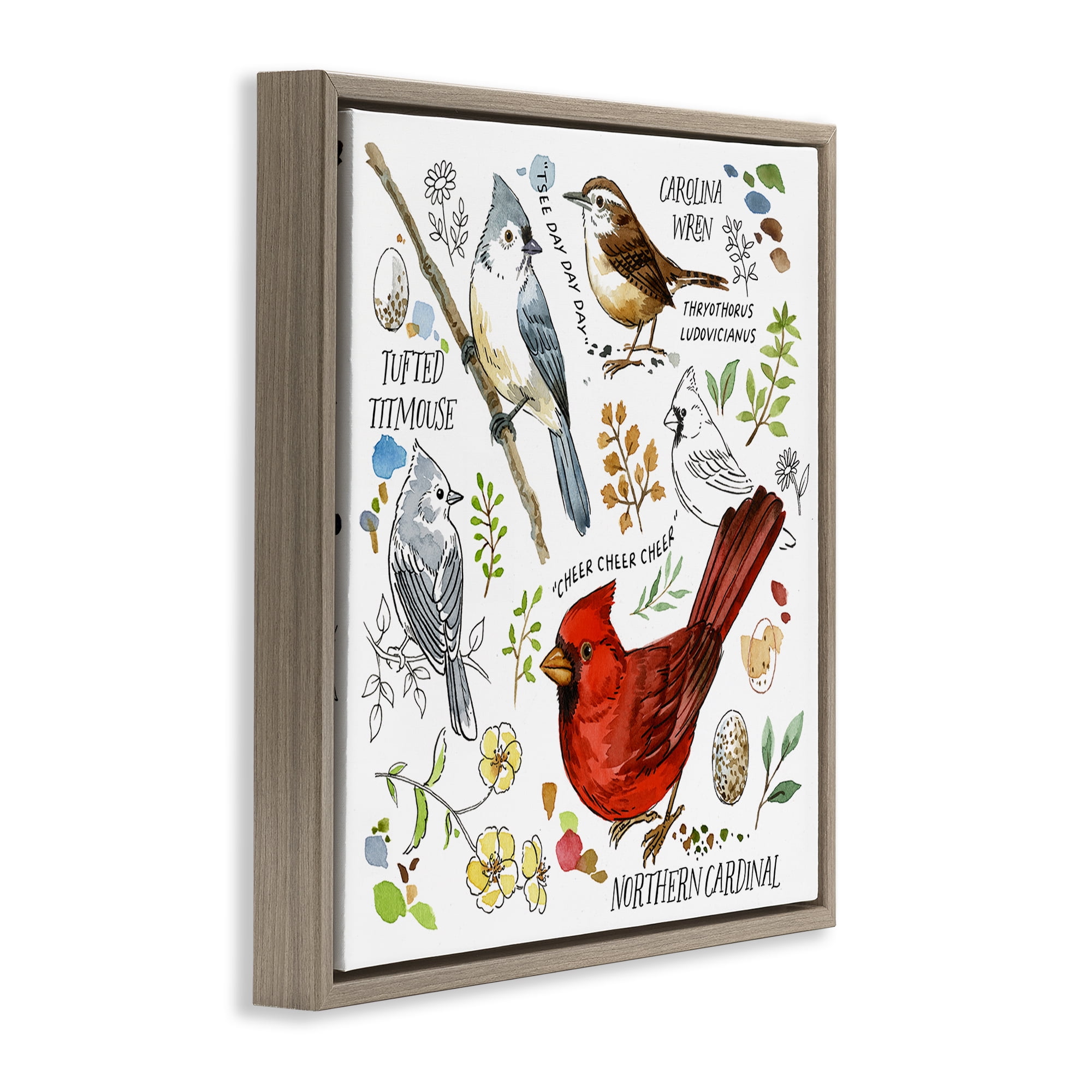 Stupell Industries Bird Watching Chart Animals Painting Brown Floater Framed Canvas Art Print Wall Art, 18 x 18