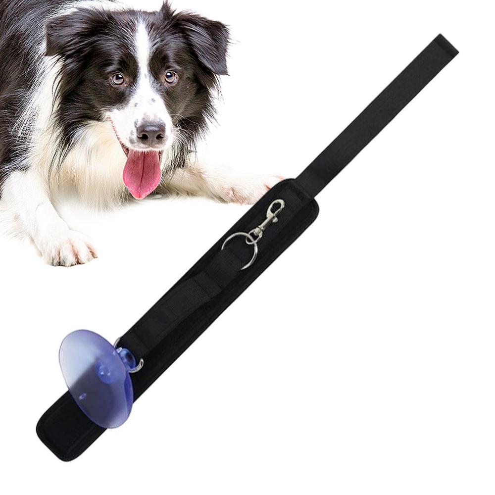 Lucybak Pet Bath Tether Leashes with Sunction Cup Dog Grooming Tub