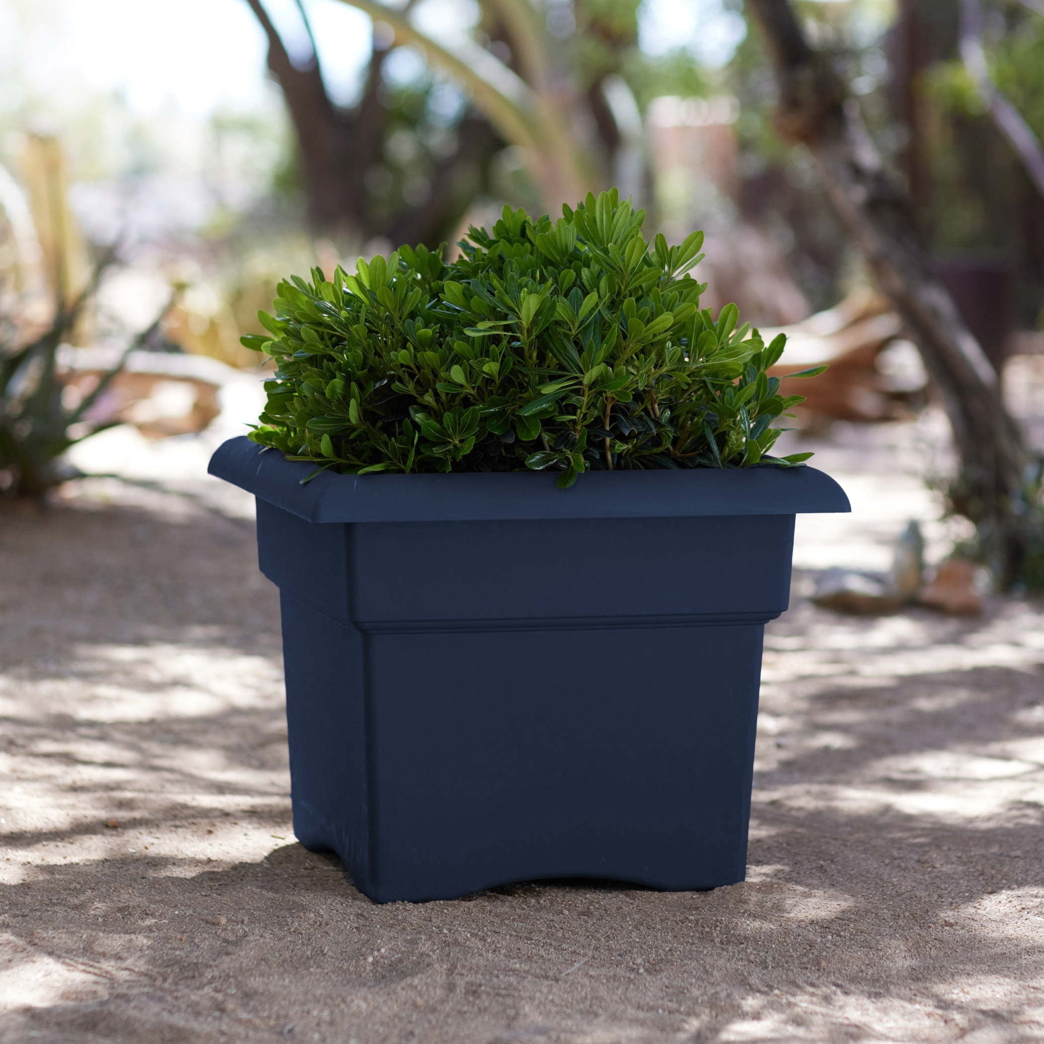 Bloem Veranda 14" Square Box Plastic Planter - UV-Resistant, Indoor/Outdoor, Navy