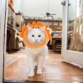 thumbnail image 1 of Cat Neck Protector Animal Shape Collar for Post-Surgery Care Orange Anti-Scratch 1Pcs, 1 of 2